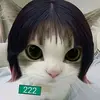 🌺🪷Maxine🪷🌺 - @maxine.lobato - TikTok