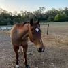 maxine - @maxine.t_ - TikTok
