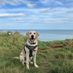 Maxine Lowe - @maxine6566 - Instagram