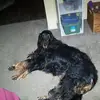 maxineluker - @maxineluker - TikTok