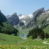 LA_Vibezzz - @maxineluna19916 - TikTok