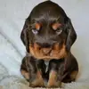luna - @maxineluna241 - TikTok