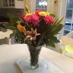 Maxine MacDonald - @maxine.macdonald.12 - Instagram
