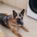 Maxine Marlow - Facebook
