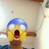 Maxine marsh - @alfremont925 - TikTok