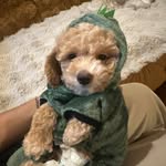 Maxine Maxwell - @maxinemaxwell43 - Instagram