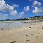 Maxine McAleer - @mcaleermaxine - Instagram