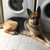 Maxine Mccormack-scott - Facebook