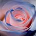 Maxine McFadden - Facebook