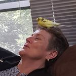 Maxine Mckenzie - @mummamckenzie - Instagram