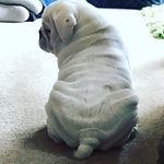 Maxine Mclaughlin - @maxinemclaughlin - Instagram