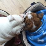 Maxine rolston mclaughlin - @maximclaughlin - Instagram