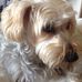 Maxine McNally - Facebook