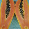 Maxine Mellor809 - @maxinemellor809 - TikTok