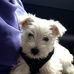 Maxine Middleton - Facebook