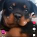 Manuela Malune - Facebook