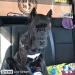 Maxie Gail Mobley - @maxiegail - Instagram
