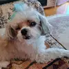 maxinemontgomery58 - @maxinemontgomery58 - TikTok