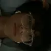 adian_lin - @maxinemoreno49 - TikTok