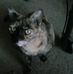 Maxine Nash - Facebook