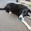 Maxine Naylor - @maxine.naylor3 - TikTok
