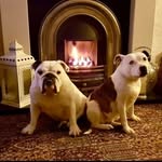Ben & Maxine - New Beginnings 🇱🇺❤️🇱🇺❤️ - @gus_thebus22 - Instagram