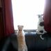 Maxine Noble - Facebook
