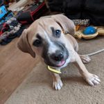 Maxine Noble - @maxinenoblesd - Instagram