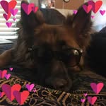Maxine Oakley - @oakleyx5 - Instagram