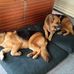 Maxine Oakley - Facebook