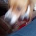 Maxine Odom - Facebook