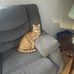 Maxine ODonnell - Facebook