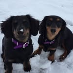 MaxineBean - @otislovesmaxine - Instagram