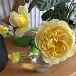 Maxine Parker - @maxine.parker.102 - Instagram