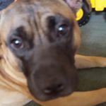 maxine parsons - @parsonsmaxine - Instagram