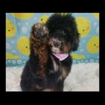 Maxine Parsons - Facebook