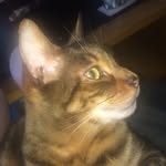 Max Power - @maxinepaul1738 - Instagram