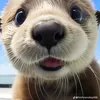 Maxine Peck - @maxine.peck39 - TikTok