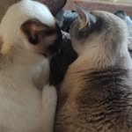 Maxine Pickering - @maxine.pickering.7 - Instagram