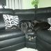 Maxine Pickering - Facebook
