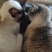Maxine Pickering - Facebook