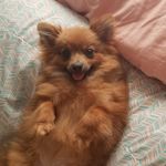 Piper Maxine - @la.piper.maxine - Instagram