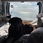 Maxine Rasmussen Skinner - @vanlifemax2023 - Instagram