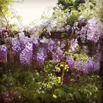 maxine roper - @ropermaxine - Instagram