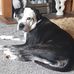 Maxine Skinner - Facebook