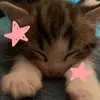 maxine - @ma.xine_starr - TikTok