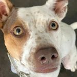 Steph's Maxine Starr fan account - @maxine.starr.content - Instagram