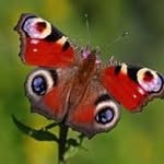 Maxine Stevens - @transformationat60 - Instagram