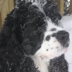 Maxie Stillwell - Facebook
