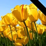 Maxine Stillwell - Facebook